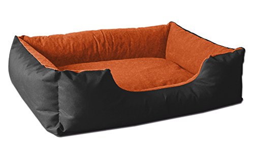 BedDog Hundebett L - Hundekissen - Hundekorb - Hundecouch - Hundesofa - Bezug abziehbar, Waschbar, für Mittel-Kleine Hunde