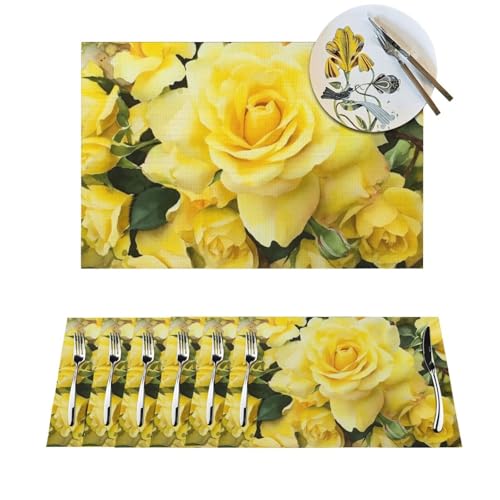 Sets de table tissés en PVC résistant chaleur lavable pour protection table repas