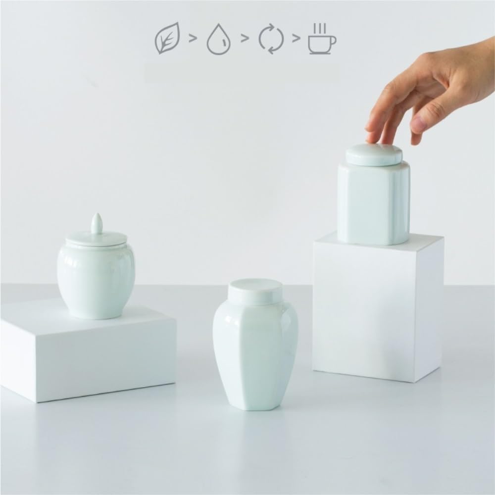 SDdPulse Tanque de almacenamiento de té, contenedor de almacenamiento de té de cerámica, tarro de almacenamiento de té para el hogar, tarro portátil de viaje, pequeño tarro sellado, juego de té, tarro