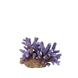aus Polyresin/Kunstharz Aqua Della 234-431368 Aquariumdekoration Coral Acropora, lila