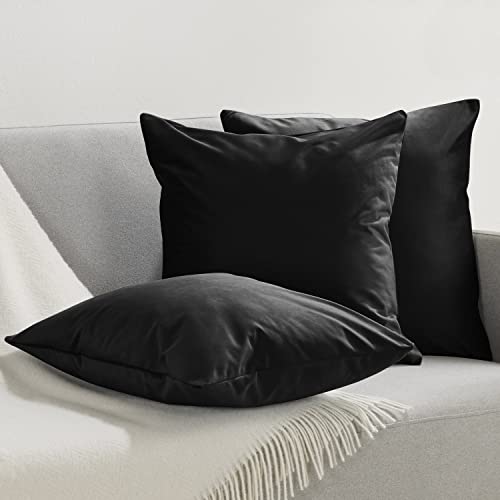 Blumtal - Housse Coussin 30x50 Lot De 2 - Housse Coussin Velours Doux - Fermeture Zip Cachée - Plusieurs Tailles Et Couleurs Disponibles - Noir