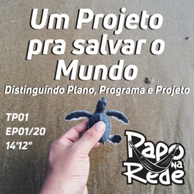 UM PROJETO PRA SALVAR O MUNDO - EP01 - Distinguindo Plano, Programa e Projeto.