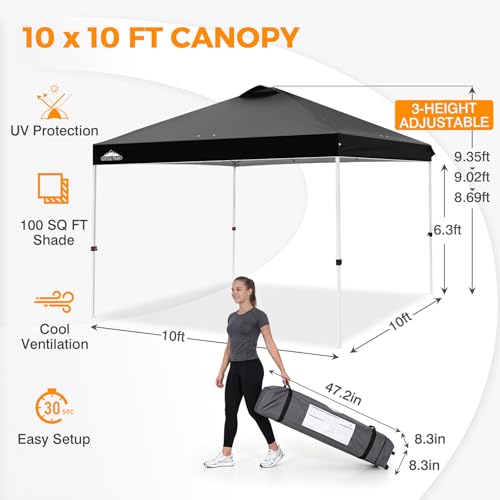https://m.media-amazon.com/images/I/41TamP+WLNL.jpg