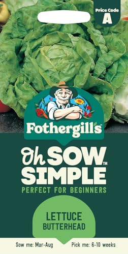 Fothergills Oh Sow Simple Lettuce Butterhead Vegetable Seeds Sow: MarAug Green