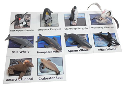 Montessori Antarctic Polar Animal Match - Miniature Arctic Animal Toy Figurines with Matching Cards - 2 Part Cards. Montessori learning toy, language materials Busy Bag Activity