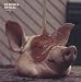 Fabriclive 82