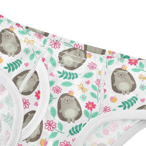 Boys' Exclusive Briefs Toddler Underwear 95% Combed Cotton Boxerbriefs 2T Hedgehog and Flower Pattern 54