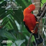  Verderón Chivi (Vireo olivaceus chivi)