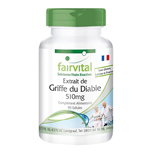 Fairvital | Extrait de Griffe du diable 510mg 90 gélules, Harpagophytum, végétarien