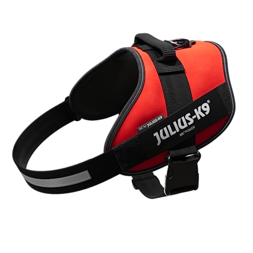 Julius-K9 IDC Powerharness Dog Harness