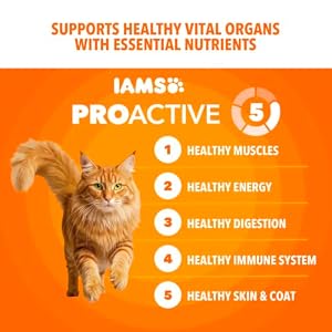 IAMS Proactive Health Healthy Adult Dry Cat Food, Chicken, 7 lb — photo 3 of 6