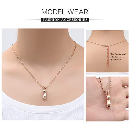 Imrsanl Pet Cremation Jewelry for Ashes Memorial Ash Jewelry Keepsake Cat Urn Pendants for Animal Ashes Necklace (Rose Gold)