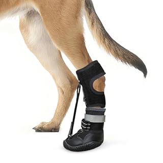 Idepet Dog Drop Foot Brace Strap On (No Knuckling Boot Brace) — Dog Boot Leg Braces for Leg Support, Dog Shoes Lift Toes for Foot Issues, Arthritis, Pet Corrector for Dogs (4)
