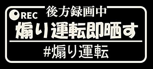 煽り運転即晒す カッティング ステッカー ロゴ (12.白)