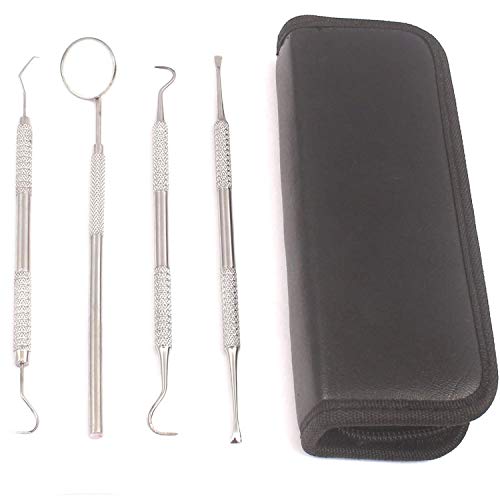 Precise Canada: Dental Hygiene Kit - Calculus & Plaque Remover Set - Stainless Steel Tarter Scraper, Tooth Pick, Dental Scaler and Mouth Mirror,Dentist Home Use Tools