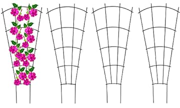 Trellis for Mandevilla Plant: 5 Surprising Choices You Never Expected 3 trellis for mandevilla plant