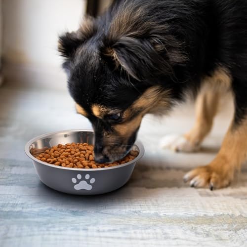 Hundenapf 3 Stück Fressnapf Hund Edelstahl,Hundenapf Kleine Hunde,Futternapf und Wassernapf mit Rutschfestem Silikonboden für Kleine Mittelgroß Hunde und Katzen,860ml