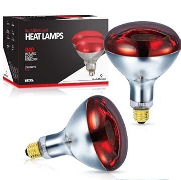 best outdoor heat lamps