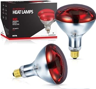 BULBMASTER 250 Watts R40 Red Heat lamp Flood Light Bulb Infrared Reflector 250R40/HR Incandescent Medium E26 Base 2 Pack