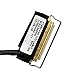 Gintai FHD eDP LCD Bildschirm Display Vidieo Kabel 30-polig für Lenovo Thinkpad T490 20N2 20N3 20RY 20RX, T495 20NJ 20NK, P43s 20RH 20RJ, T14 P14s Generation 1 01YT382 02HK974 DC02C00DY00