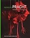 Produktbild Indische Pracht / Indonesian Splendour /: Vier Eeuwen Fascinatie Voor De Flora Van Indonesie / Four Centuries of Fascination for the Flora of Indonesia (Indonesian Splendour / Indische Pracht)
