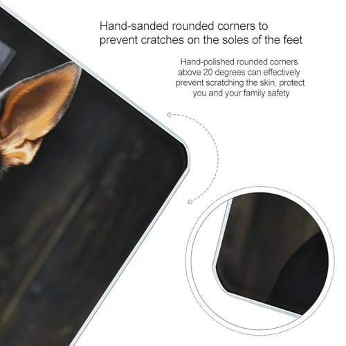 Báscula Digital Doberman para Baño Compacta y Precisa miniatura 4