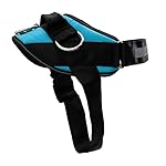 ShawnCo Essential Dog Harness, No-Pull Pet Vest with 3 Leash Clips, No Choke, Reflective, Adjustable and Padded, for Easy Walking and Training for Small, Medium and Large Dogs (Oceanic Blue, S)