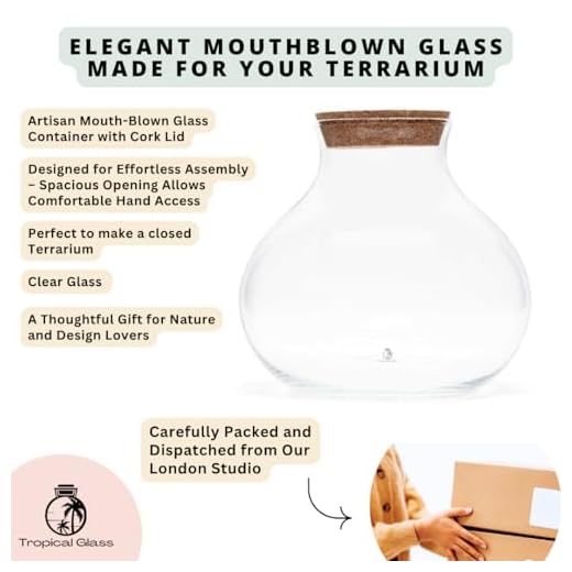 Elegant Glass Terrarium with Cork Lid