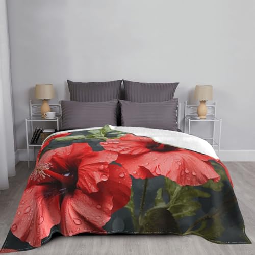 Couverture en peluche légère pour des soirées cocooning sur le canapé - 4