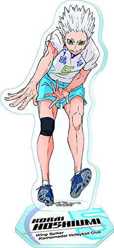 Amazon.co.jp: エンスカイ(ENSKY) アニメ『ハイキュー! ! 』 アクリル