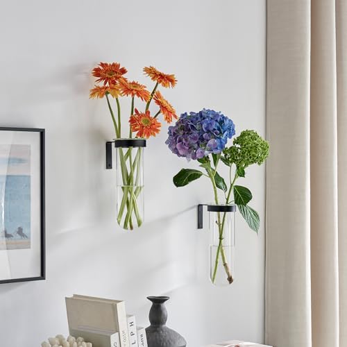 2 Piece Hanging Glass Wall Vase Set Iron Metal Plant Stand with Clear Borosilicate Glass Tubes Creative Wall Mount Vase for Flowers Air Plants Home Office Wedding Decoration