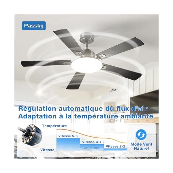 Passky Ventilateur de plafond avec lumière LED silencieux 132cm, Télécommande, Moteur CC réversible, 3 réglages de couleur, Fonction été-hiver, 6 vitesses, Minuterie, Int/ext, Noir