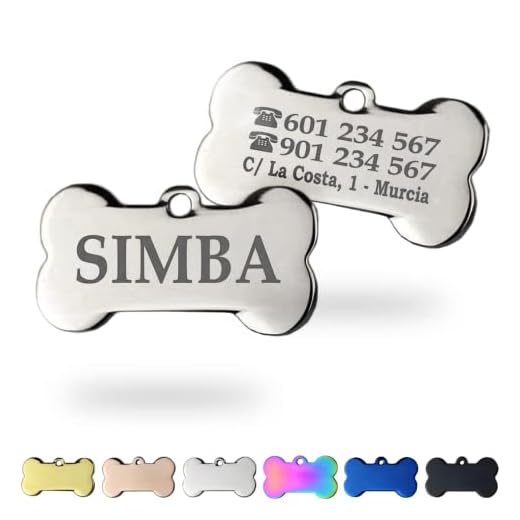 Chapa para Perro y Gato Personalizada - Ideal para Grabar su Nombre y tu Contacto - Placa Identificativa Hecha en Acero Inoxidable - Perros y Gatos Medianos/Grandes - Plateado - Ibera gifts