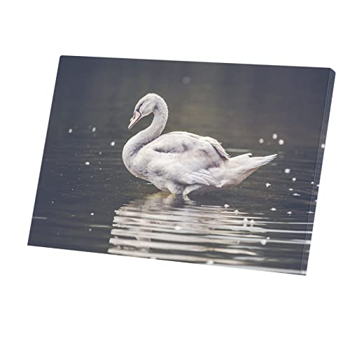 Tableau décoratif cygne grand format pour habiller un mur vide avec élégance