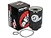 aFe POWER PROGUARD Fuel Filter (4 Pack) - #44-FF011-MB