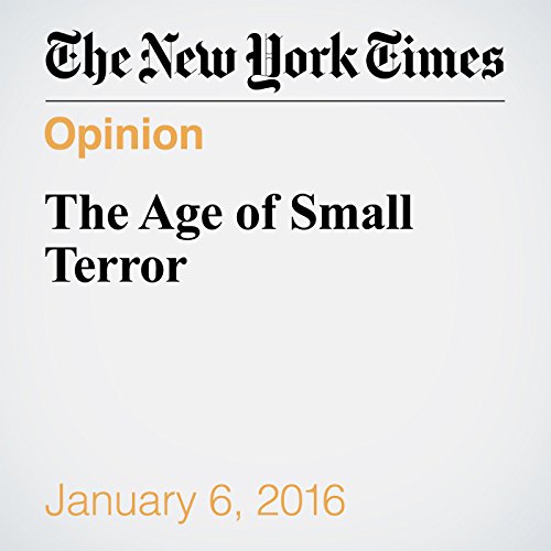 The Age of Small Terror cover art