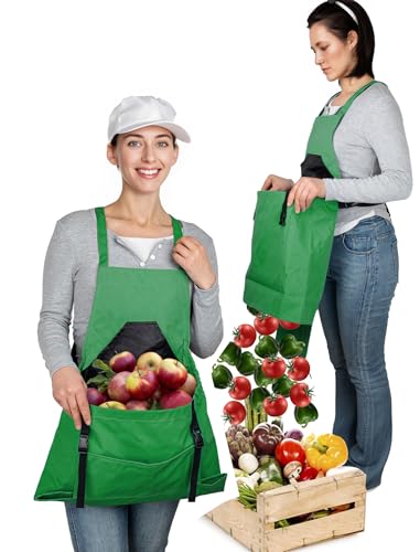 FRIDOU(thD) K[fjOGv |Pbgt jp \ n[xXgGv K[fjOMtg, O[, 1 Pack