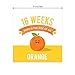 Canopy Street Maternity Weekly Milestone Photo Props / 18 Card Set Of 36 Baby Growth Designs / 9