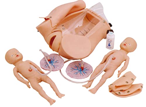 Modelo integral de entrenamiento de habilidades para el parto y la distocia, herramienta de demostración de partería para posición fetal femenina