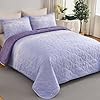 Ombre Quilt Set Twin Size Lavender Purple Quilt Set Kids Girls Bedding Set Reversible Lightweight Microfiber Bedspread Coverlet Set for All Season (68''x86'') #2