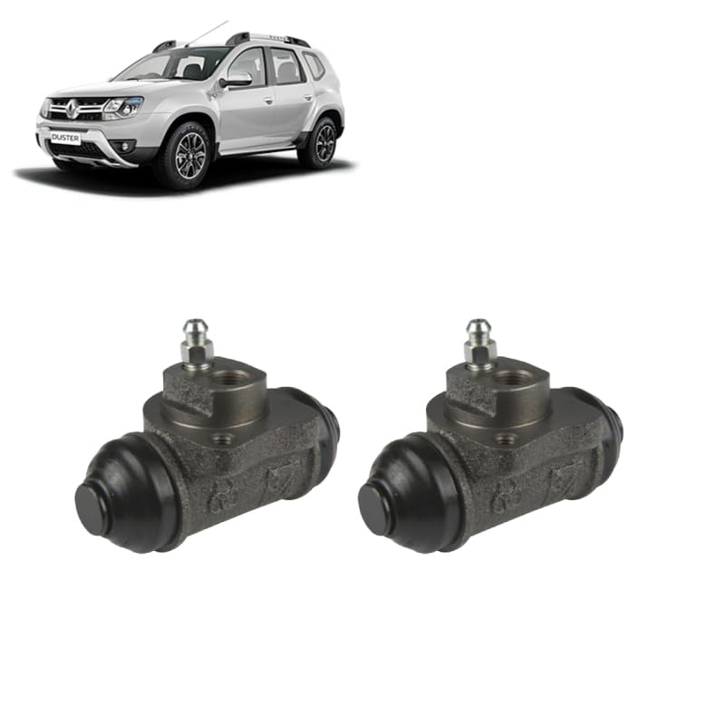 Coppia cilindretti posteriori per Dacia Duster HS 2010-2018