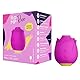 ROMP Rose Klitoris-Sauger für Frauen - Vibrator mit 6 Intensitätsstufen & 4 Vibratonsmodi - Rosenförmiger Klitoris Stimulator - Wasserfest - Wiederaufladbares Saugvibrator - Sexspielzeug für Frauen