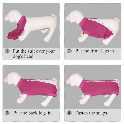 Cyponpy Hundebody Nach Op Medizinischer Body für Hunde Kastration Hündin Rüde Operationsbody Hund Body Nach Op Hund Shirt Leckschutz Wundschutzanzug für Hunde Einteiler Schlafanzug Klein Mittel Groß