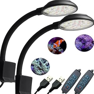 GERUI 2pcs Aquarium Licht, Clip-on Aquarium Lampe mit Weiß und Blau Licht, 7W für 20-40 cm Aquarien mit Aquarium Beleuchtung geeignet für Wasserpflanzen und Süßwasser Aquarien