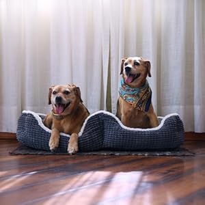 Puppy Bed for Small Dogs – Cat Bed for Indoor Cats - Dog Bed for 2 Dogs to Share – Completely Washabel Super Soft Pet Mat– Grey Puppy & Kitten Double Bed Puppy Bed for Small Dogs–Cat Bed for Indoor Cats Dog Bed for 2 Dogs to Share–Completely Washabel Super Soft Pet Mat Grey Puppy Kitten Double Bed