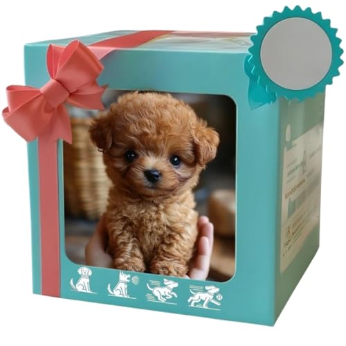 Neakarfer-���{�b�g�A���A�g�C�v�[�h���A���A���E�H�[�L���O�AAI-�U���A�C�f�A�y�b�g�̂ʂ�����݂��V�~�����[�V�������A�j�̎q�Ə��̎q�ɓK���Ă��� [���s�A���i]