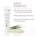 100% PURE Fermented Rice Water Cleanser, Face Wash, Skin Care For All Skin Types, Daily Makeup Remover, Natural Face Wash for Clear Skin - 3.4 Fl Oz