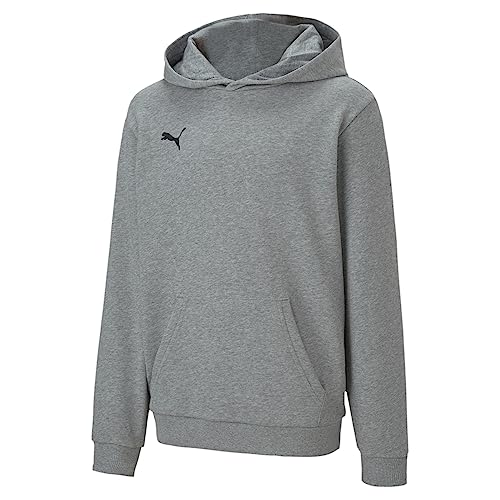 PUMA Kids' Youth Teamgoal 23 Casuals Hoodie