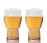 FIZZ Beer Glasses | Where Science Meets Flavor | A Better Beer Experience | 16 OUNCES | Made in USA...