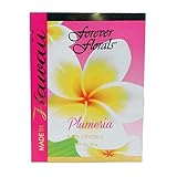 Hawaiian Bath Crystals Forever Florals Plumeria 4 Pack
